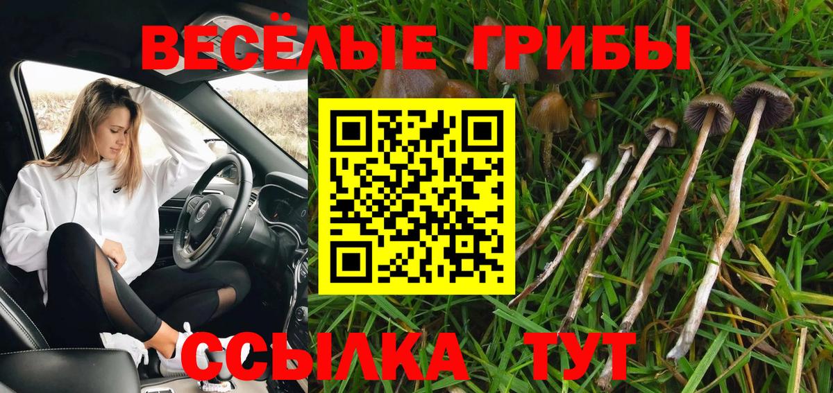 Галлюциногенные грибы Cubensis Лабинск