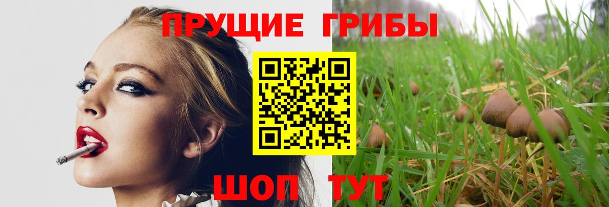 Лабинск  Псилоцибиновые грибы Magic Shrooms  Вход с VPN 